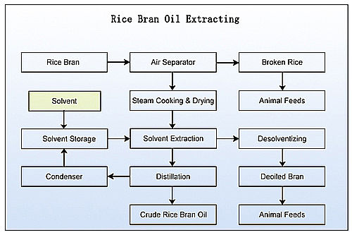 rice-bran-oil-extracting