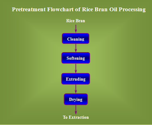 rice bran oil process