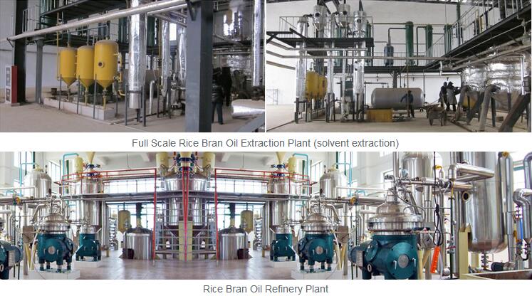 Rice Bran Oil Making Machine