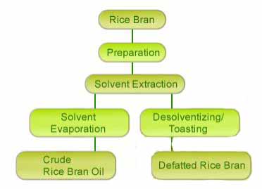 rice bran oil processing plant