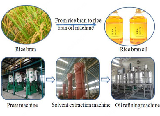 rice bran oil machinery