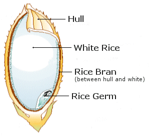 rice bran oil machine