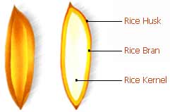 rice-bran-oil.jpg